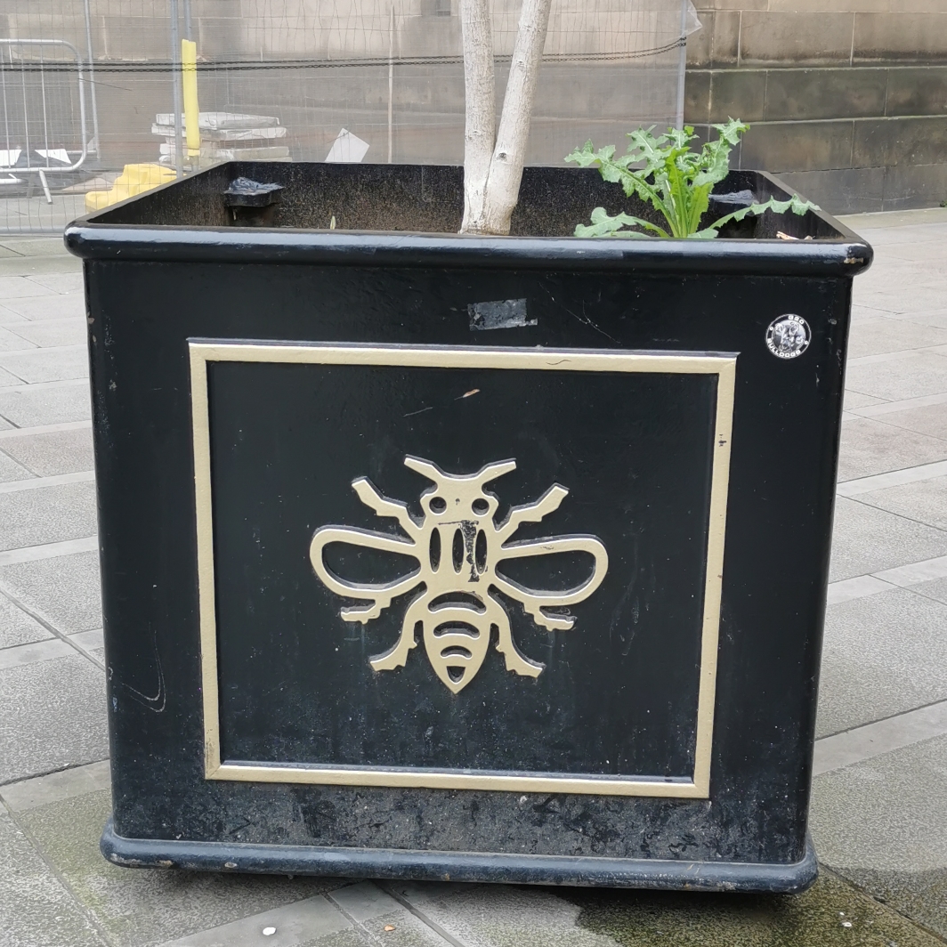 Bee on planter St. Peter’s Square