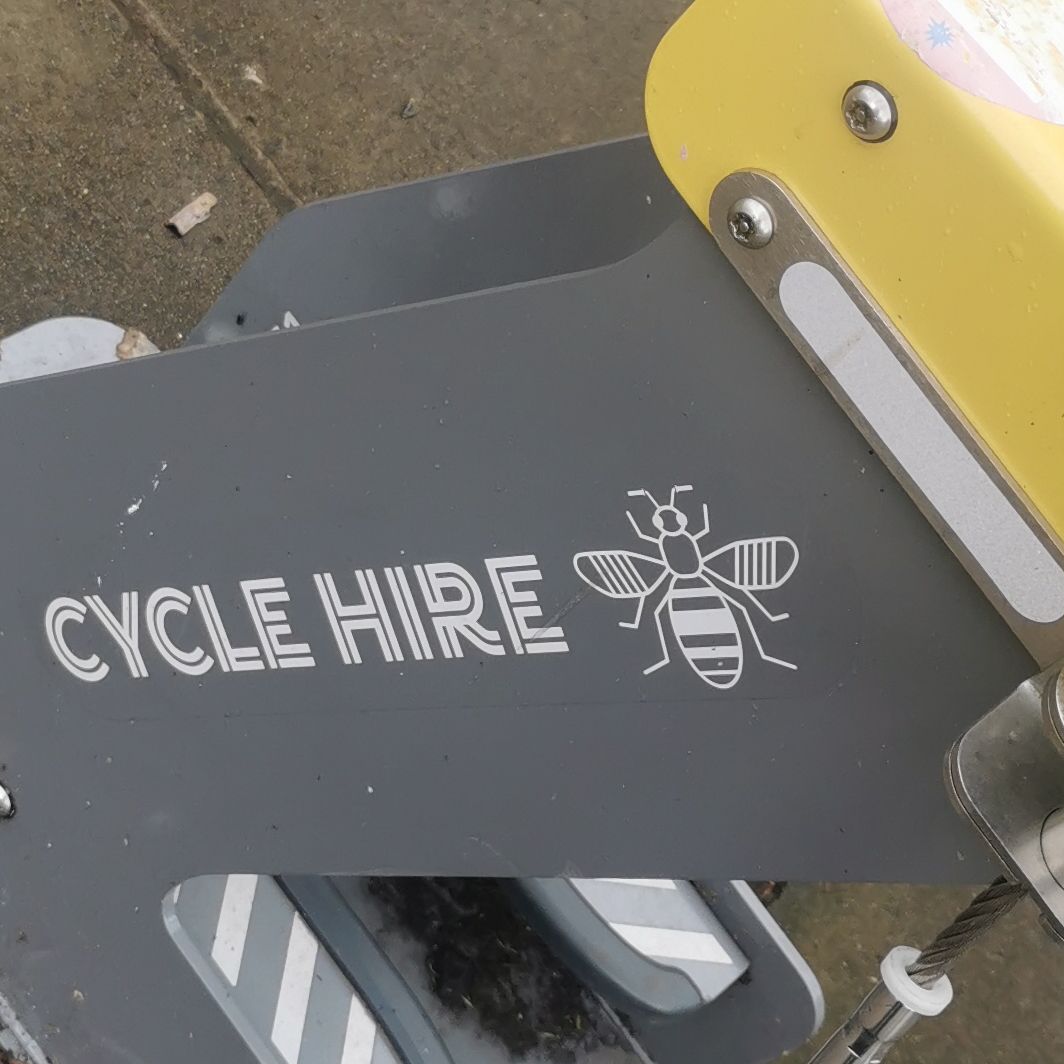Bee on cycle hire stand on Aytoun Street