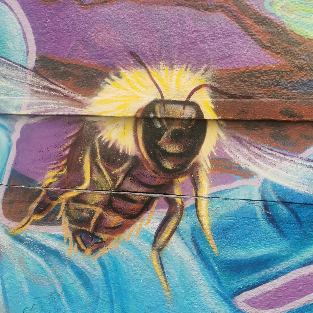Bee on mural on Ducie Street