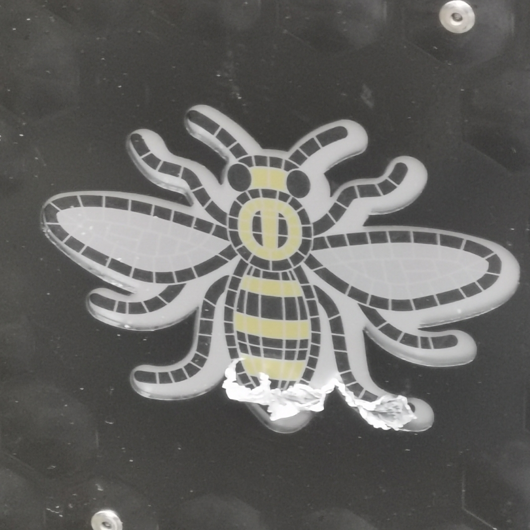 Bee on the side of a bin