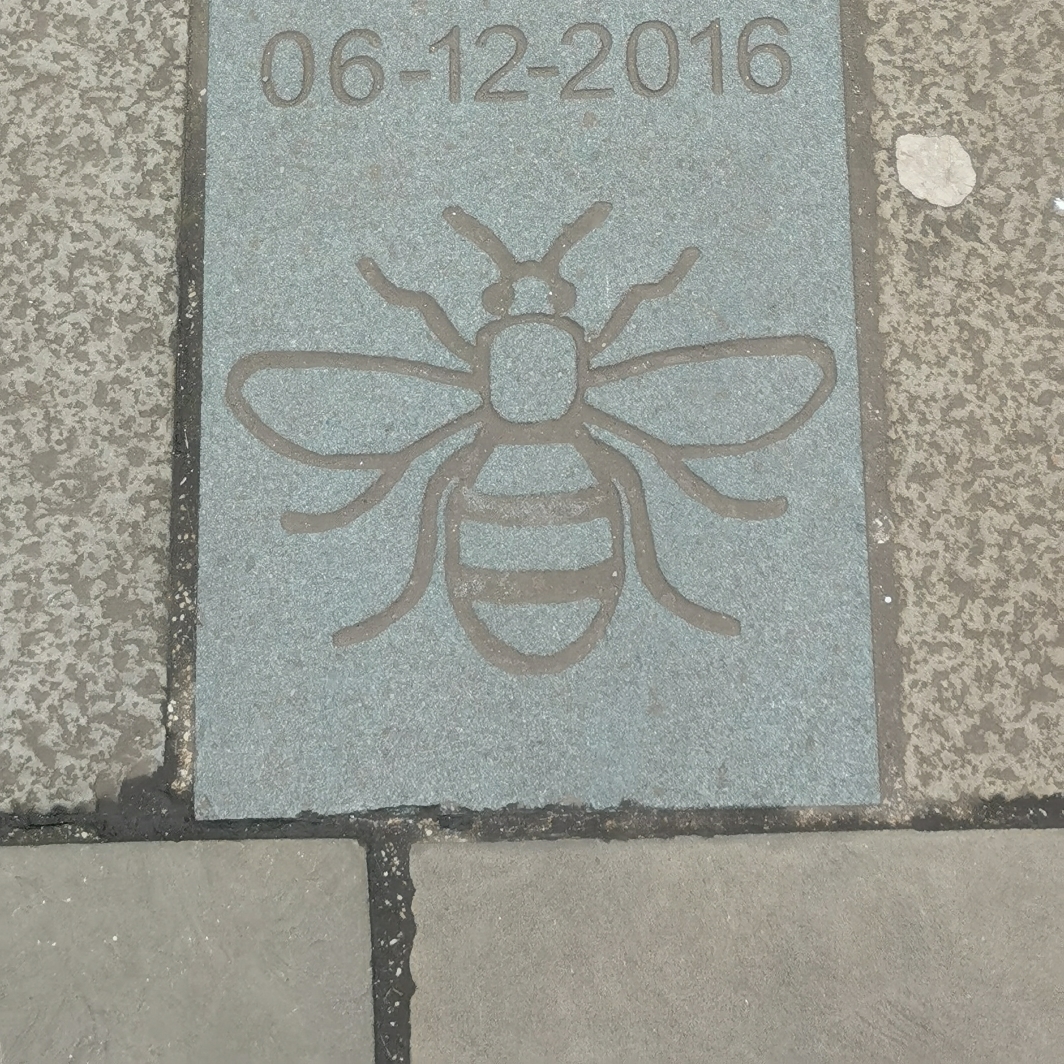 Bee in pavement St. Peter’s Square between cross and library