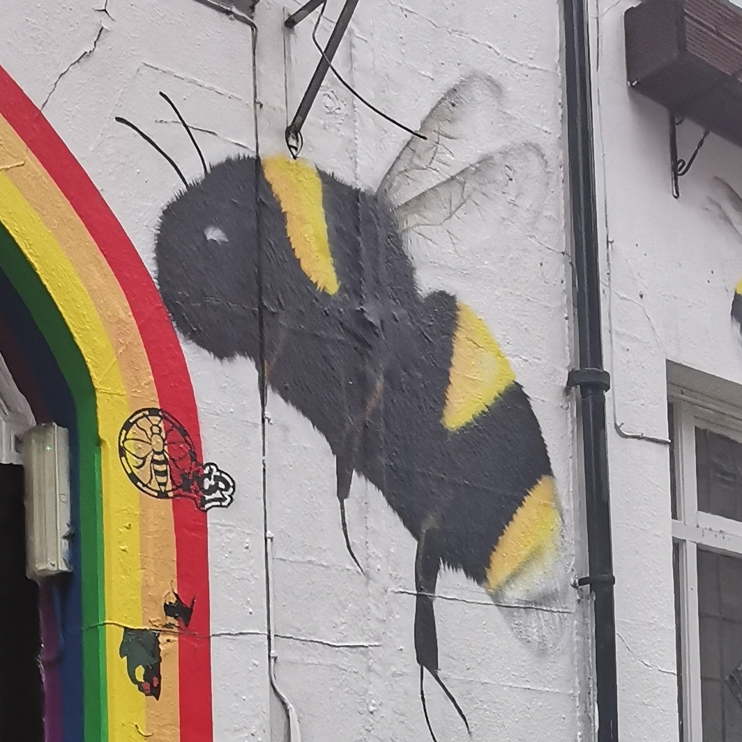 Bee on New Union pub, Princess Street