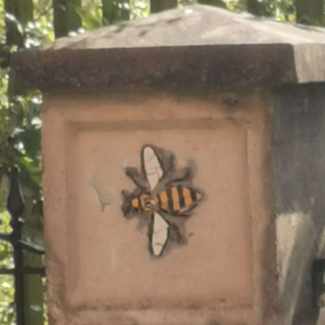 Bee on a stone column next to Rochdale Canal on Redhill Street