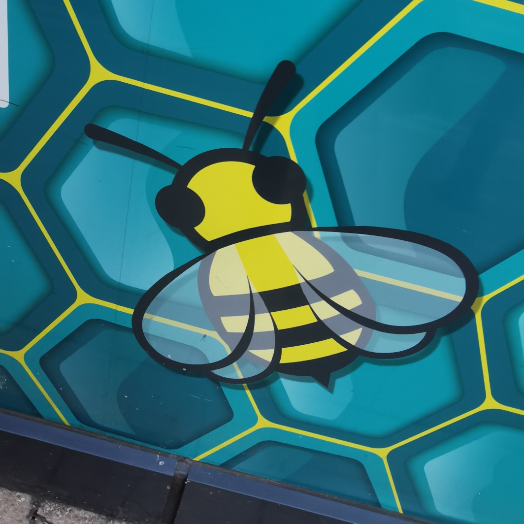 Bee in EE Shop window off Market Street
