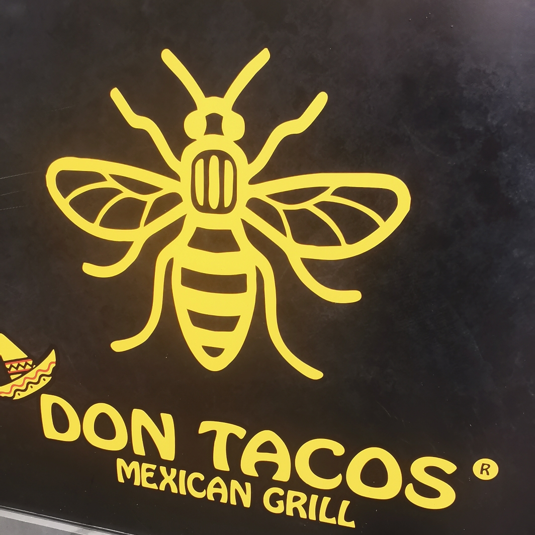 Bee at Don Tacos Mexican Grill, Piccadilly Gardens