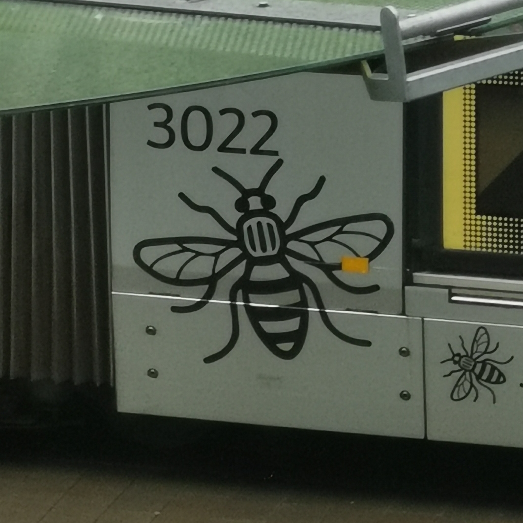 Bee on Metrolink tram 3022