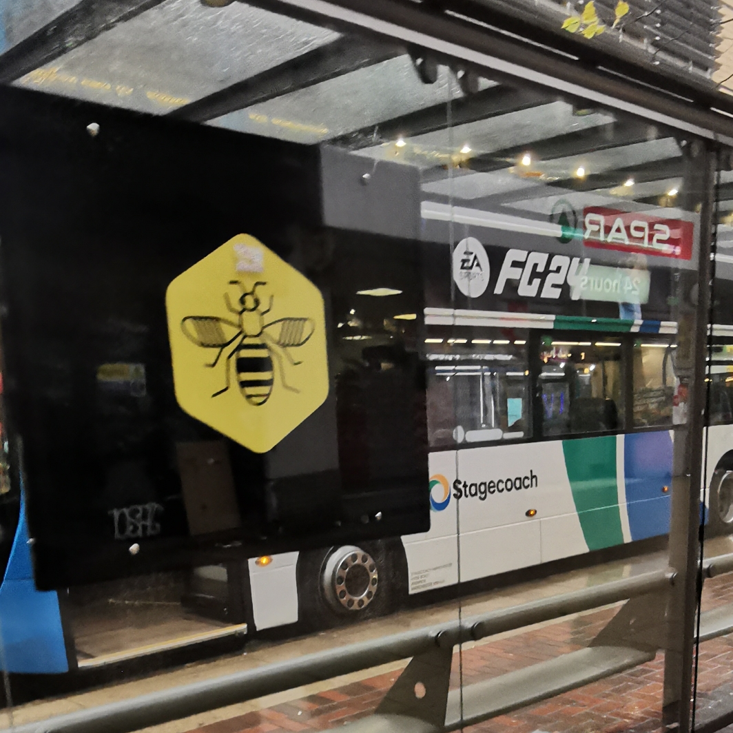 Bee on sign at bus stop Piccadilly