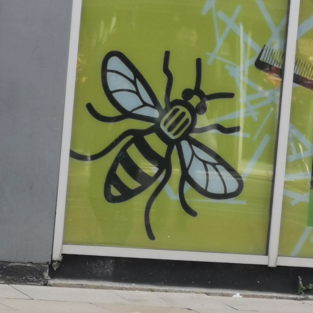 Manchester bee in window at 39 Deansgate