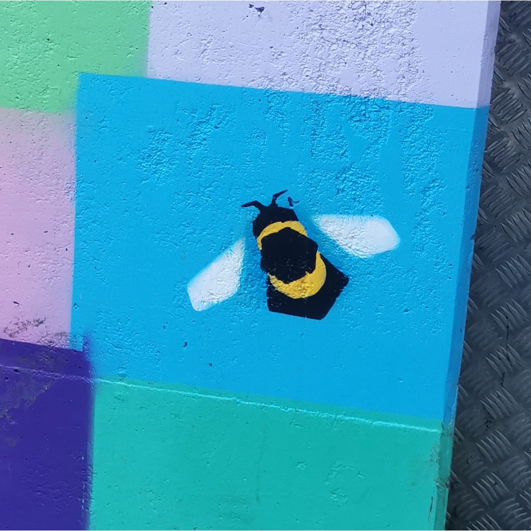 Bee on wall near steps by Rochdale canal, Piccadilly Basin