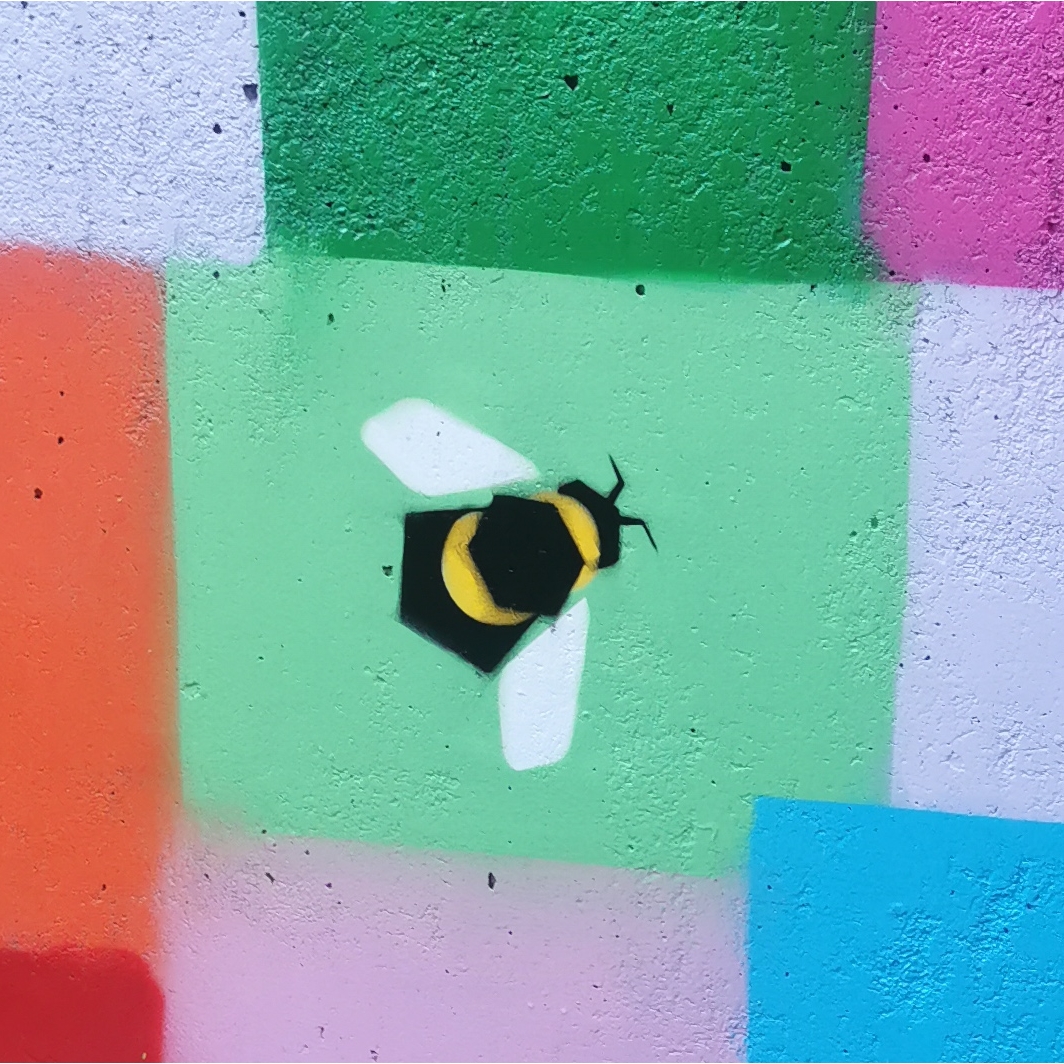 Bee on wall near steps by Rochdale canal, Piccadilly Basin