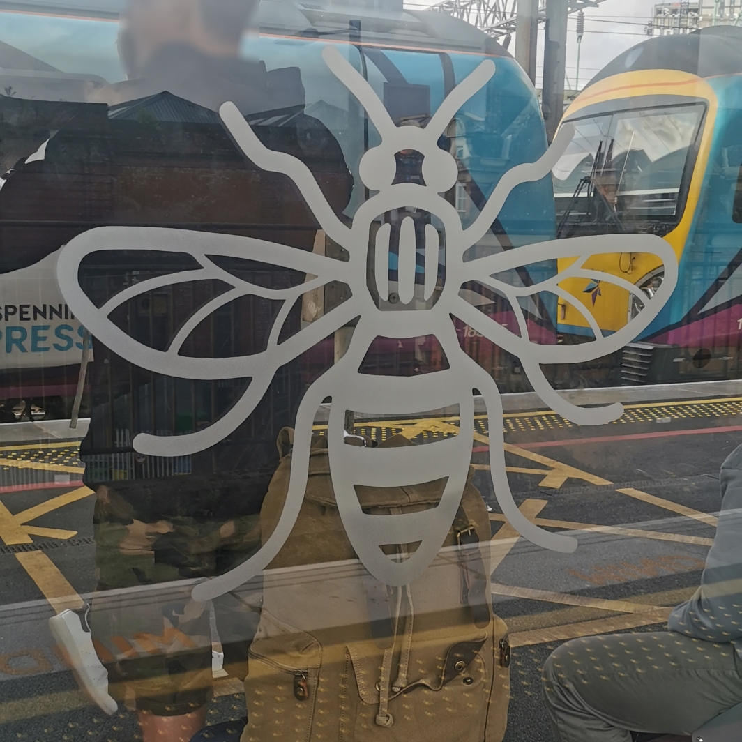 Bee on glass panel at platform 13 / 14 Manchester Piccadilly station