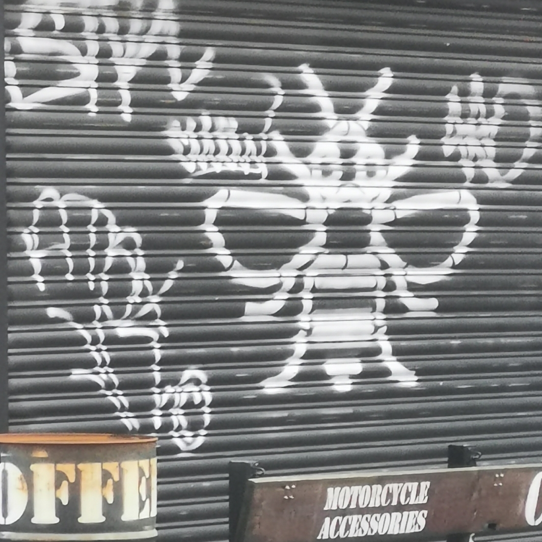 Bee on shutter at Parlour Vapes, Chester Road