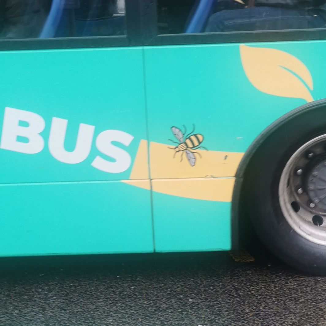 Bee on a Stagecoach green bus