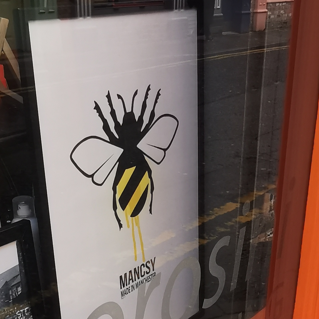 A Mancsy bee picture in the window at Olivier Morosini Hairdressing, Tib Street