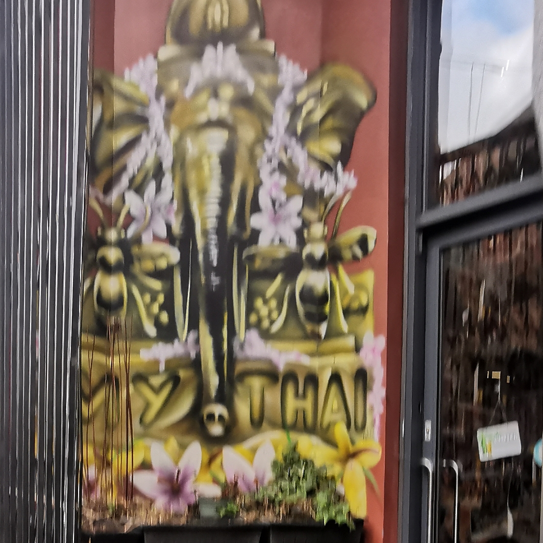 Bees in mural at My Thai, Tib Street