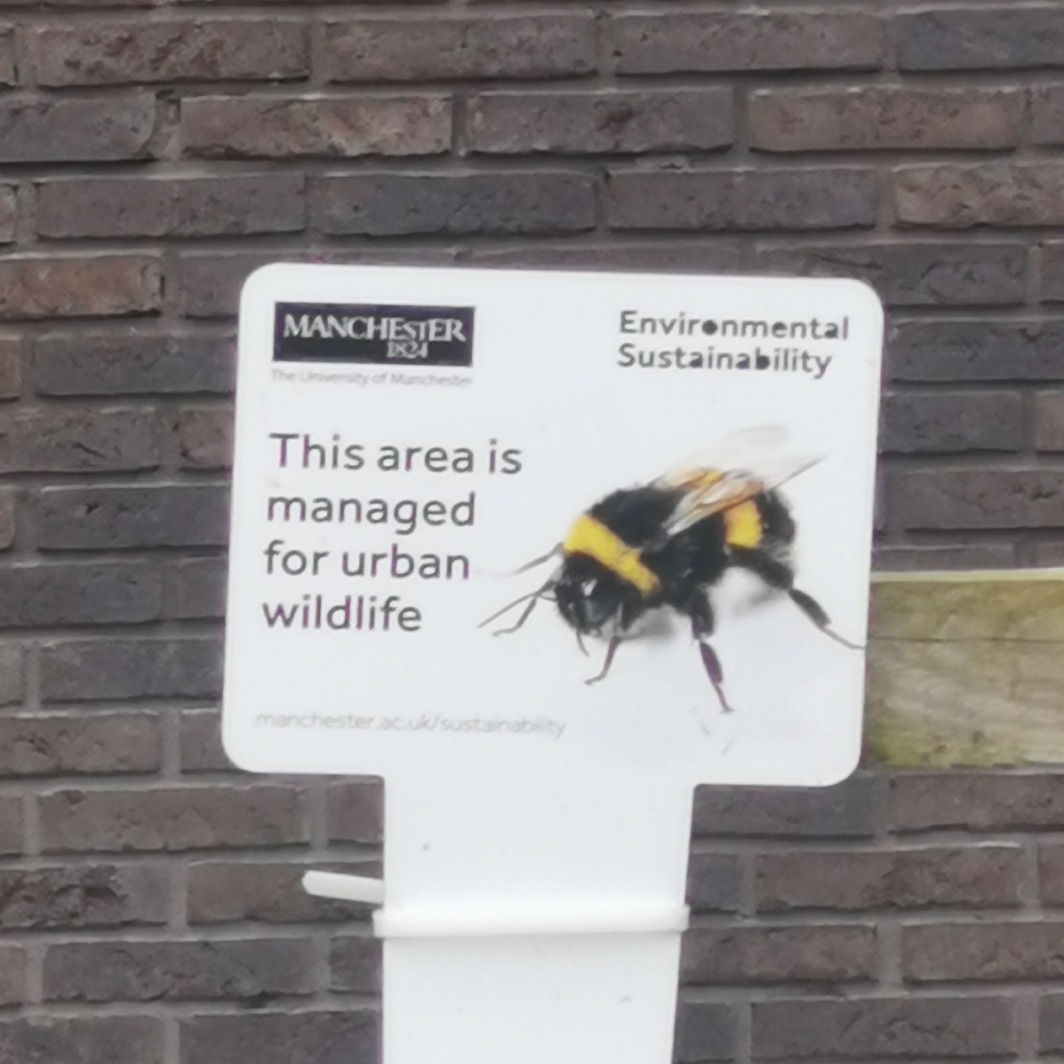 Bee on urban wildlife sign, Manchester University, Upper Brook Street