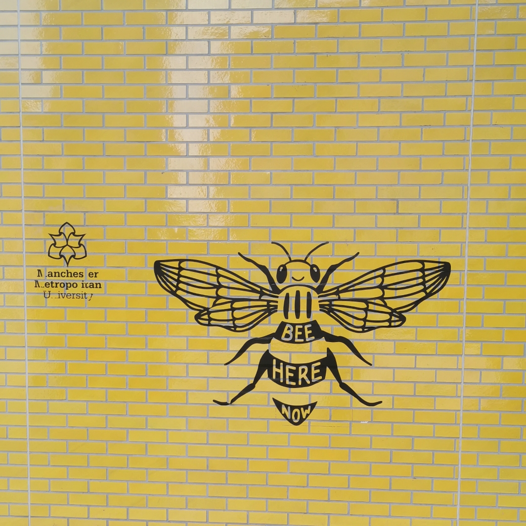 Bee at The Union at Manchester Metropolitan University, Higher Cambridge Street