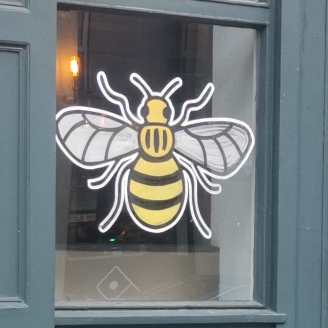 Close up of bee at The Flour and Flagon, Grosvenor Street