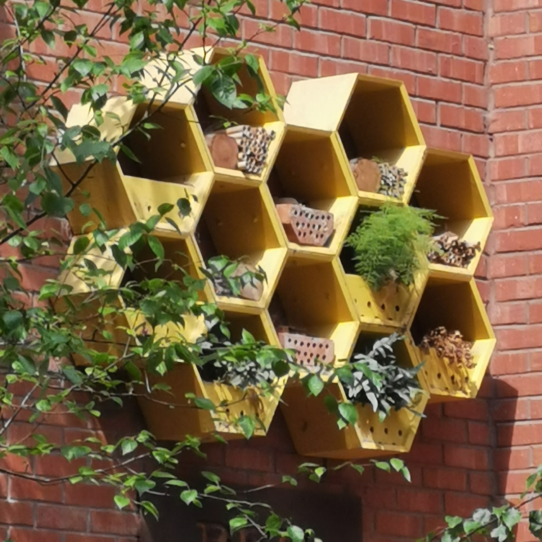 Post your Manchester bee photos on X with #ManchesterCircularBees
